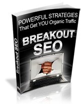 Powerful Strategies to Attract Organic Search Engine Traffice
